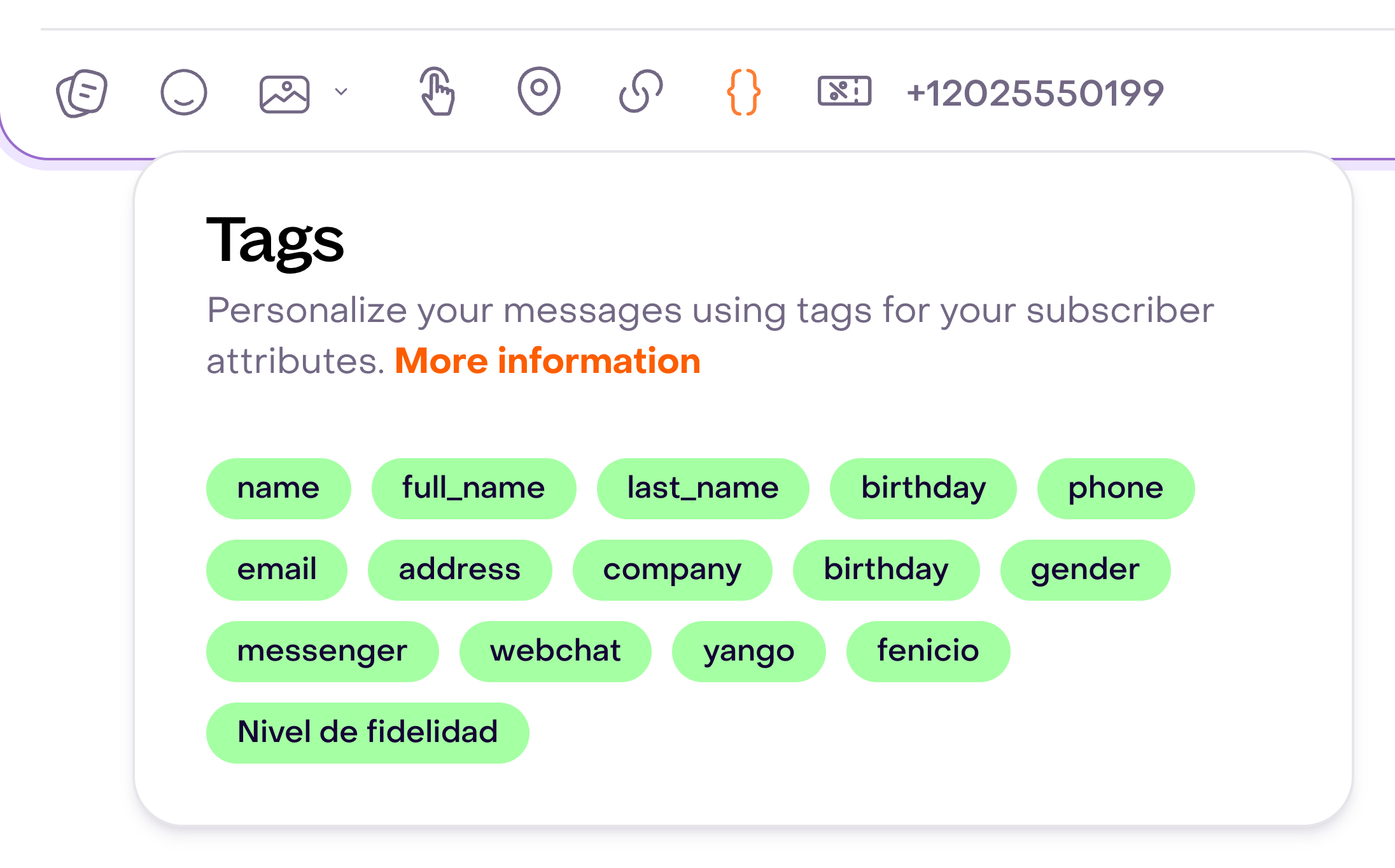 WhatsApp editor Tags menu with properties such as name, full_name and email, plus a fictional custom property.