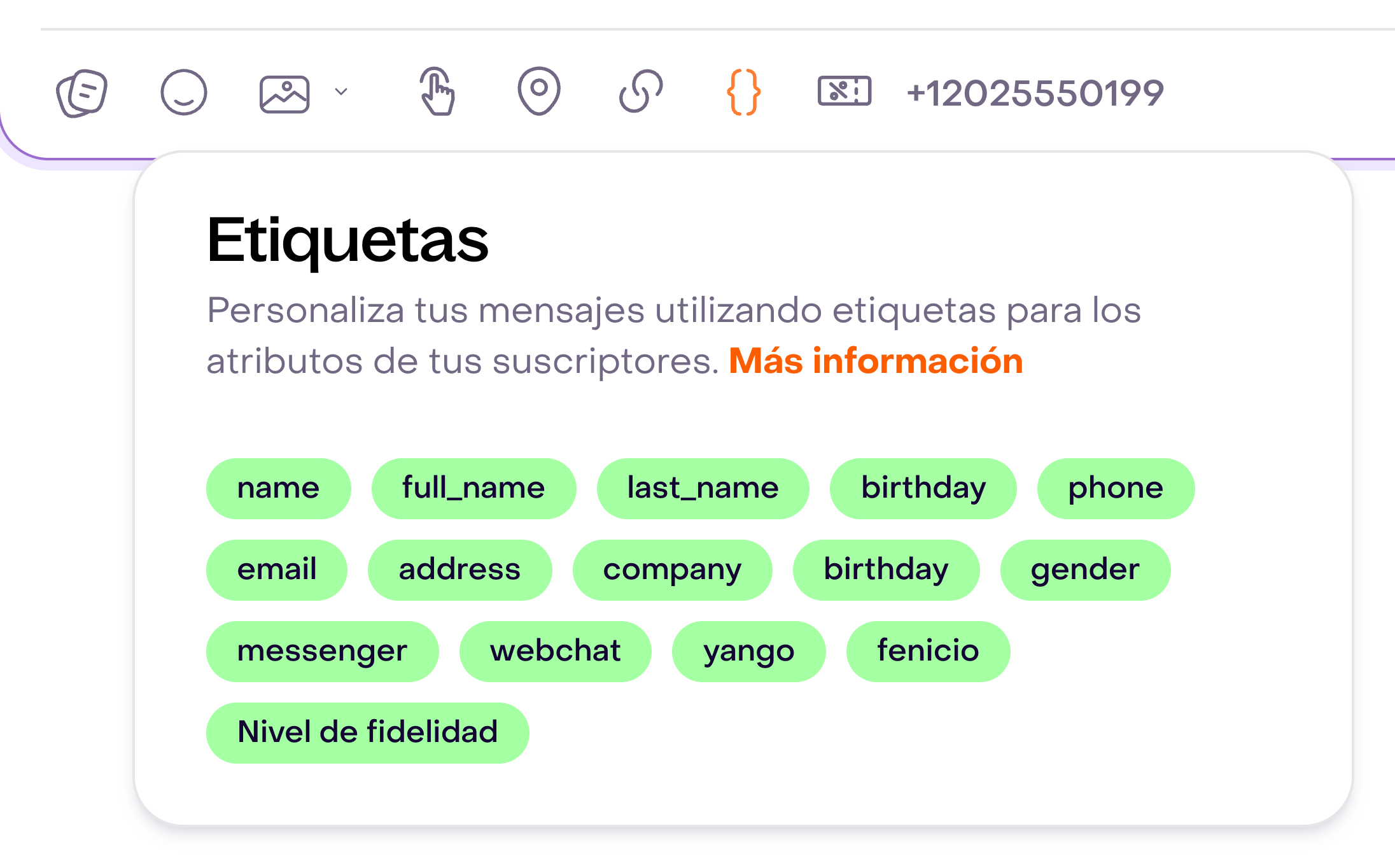 Menú Etiquetas del editor de WhatsApp con propiedades como name, full_name, email y una propiedad personalizada ficticia.